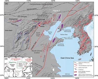 Formation and Evolution of Supradetachment Basins During Continental Extension: Insights From the Fuxin Basin in NE China